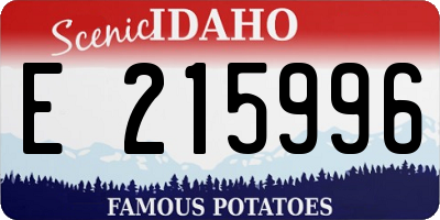 ID license plate E215996