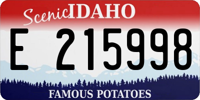 ID license plate E215998