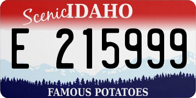 ID license plate E215999