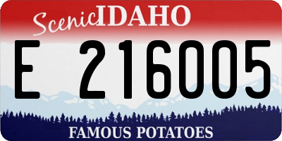 ID license plate E216005