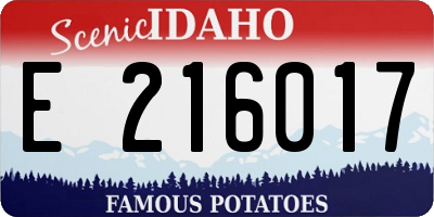 ID license plate E216017