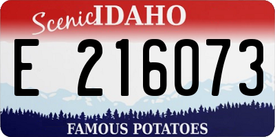 ID license plate E216073