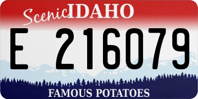 ID license plate E216079