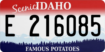 ID license plate E216085