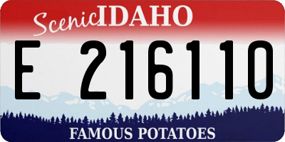 ID license plate E216110