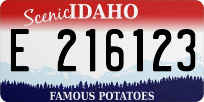 ID license plate E216123