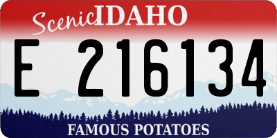 ID license plate E216134