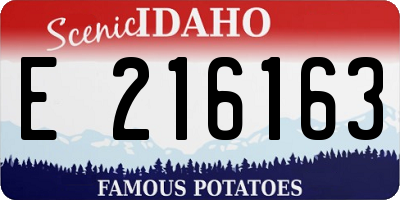 ID license plate E216163