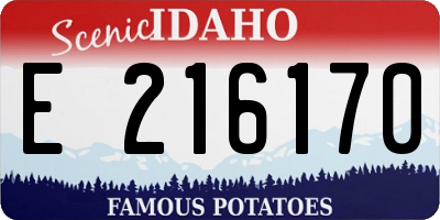 ID license plate E216170