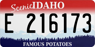 ID license plate E216173