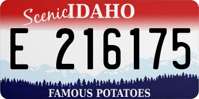 ID license plate E216175