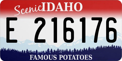 ID license plate E216176