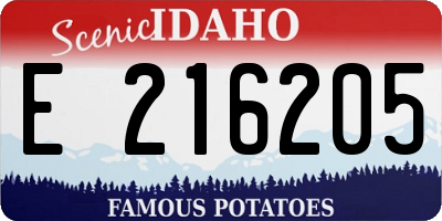 ID license plate E216205