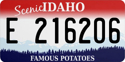ID license plate E216206