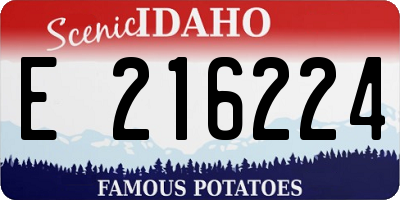 ID license plate E216224