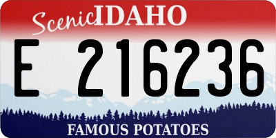 ID license plate E216236