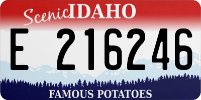 ID license plate E216246