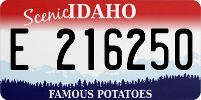 ID license plate E216250