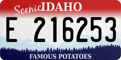 ID license plate E216253
