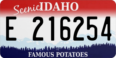 ID license plate E216254