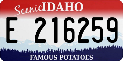 ID license plate E216259