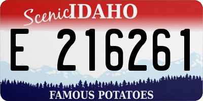 ID license plate E216261