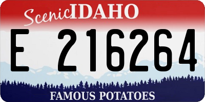 ID license plate E216264