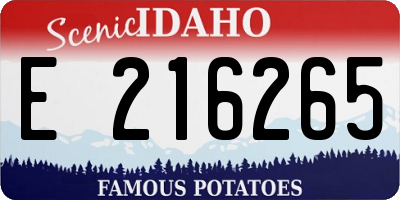 ID license plate E216265