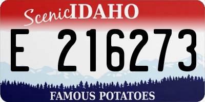 ID license plate E216273