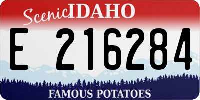 ID license plate E216284