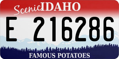 ID license plate E216286