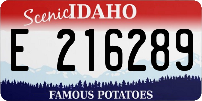 ID license plate E216289