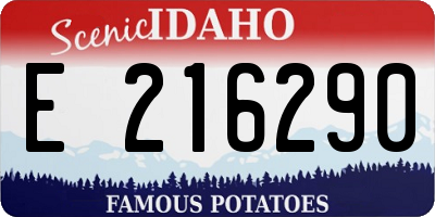 ID license plate E216290