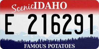 ID license plate E216291