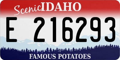 ID license plate E216293