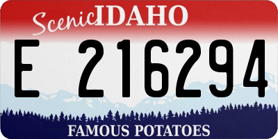 ID license plate E216294