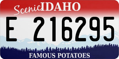 ID license plate E216295