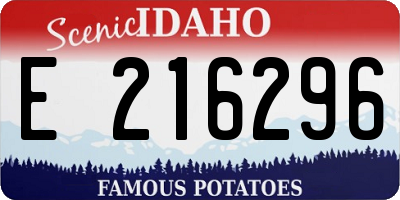 ID license plate E216296