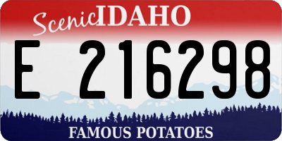 ID license plate E216298