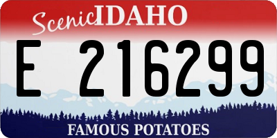 ID license plate E216299