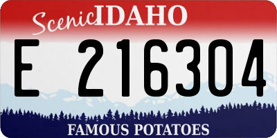 ID license plate E216304