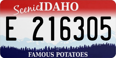 ID license plate E216305