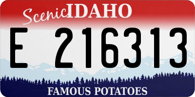 ID license plate E216313