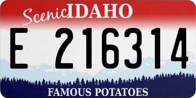 ID license plate E216314