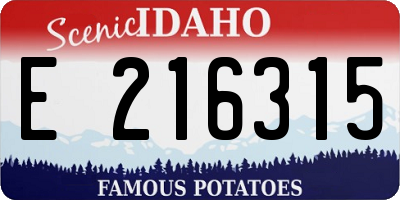 ID license plate E216315