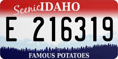 ID license plate E216319