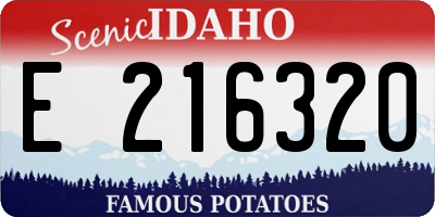 ID license plate E216320