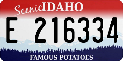 ID license plate E216334