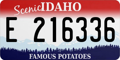 ID license plate E216336
