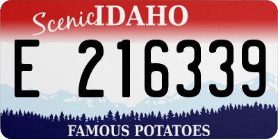 ID license plate E216339